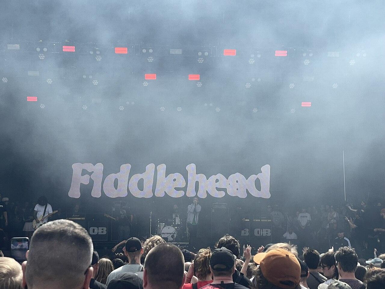 Fiddlehead en Louder Radio