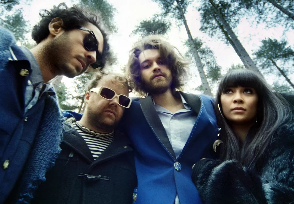Guillemots