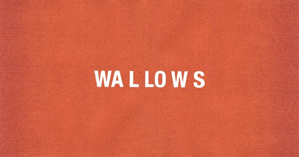 Wallows