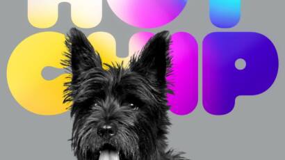 Portada de A Long Way From Kansas de Hot Chip: perro negro con letras multicolores